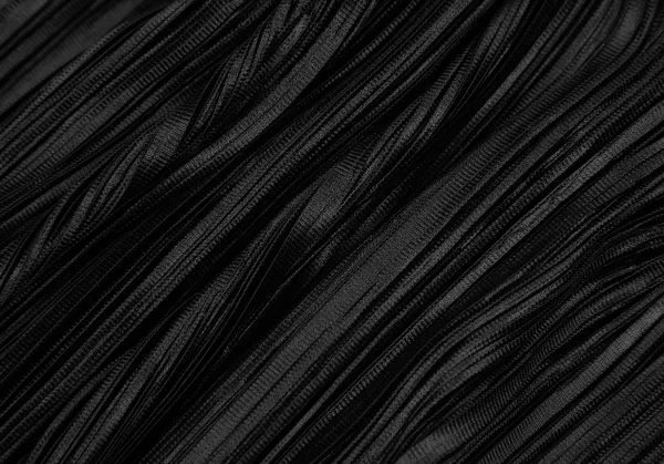 PLEATS PLEASE Shiny Pleated Double Jacket K-125033_013