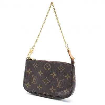 Louis Vuitton Monogram Accessoire Mini Pouch