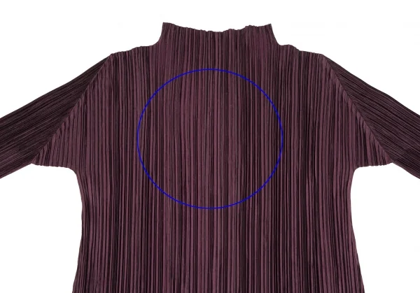 Unbranded Pleated Turtleneck Dress K-125737_003