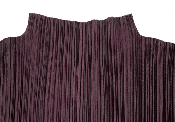 Unbranded Pleated Turtleneck Dress K-125737_005