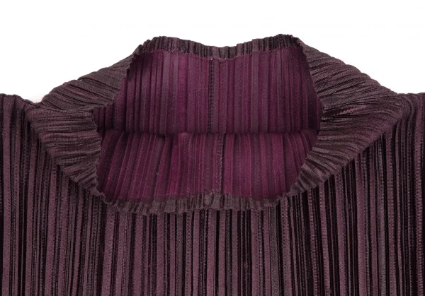 Unbranded Pleated Turtleneck Dress K-125737_006