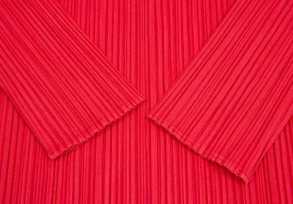 PLEATS PLEASE Reflector Print Pleated T Shirt K-126219_008