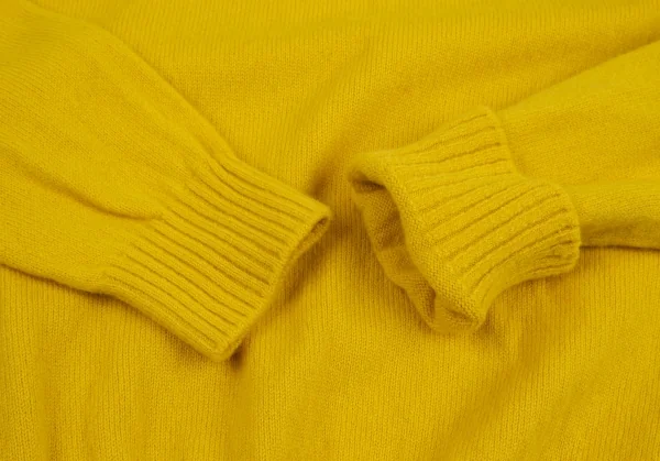 ランバンコレクションLANVIN collection ウールタートルネックリブニット 黄色48 K-127310_005