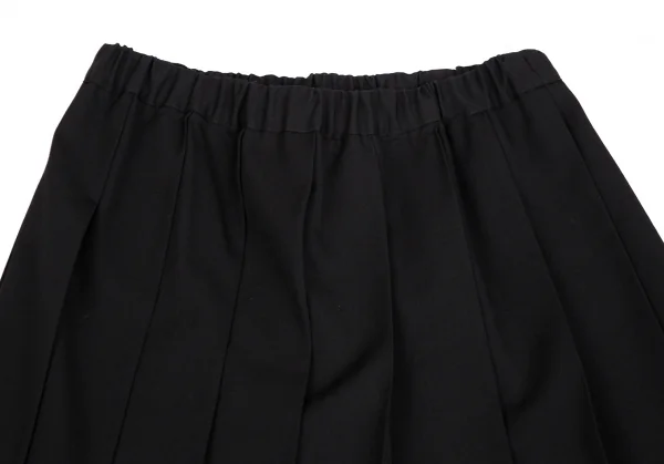 COMME des GARCONS COMME des GARCONS Wool Gaba Pleats Skirt K-127489_003