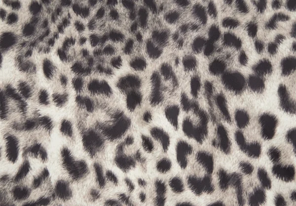 COMME des GARCONS Leopard Printed Poly Coat K-127826_006