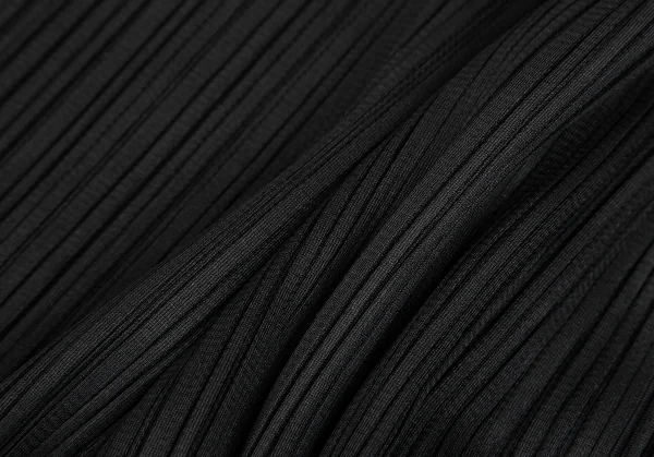 PLEATS PLEASE Turtle Neck T Shirt K-128020_010