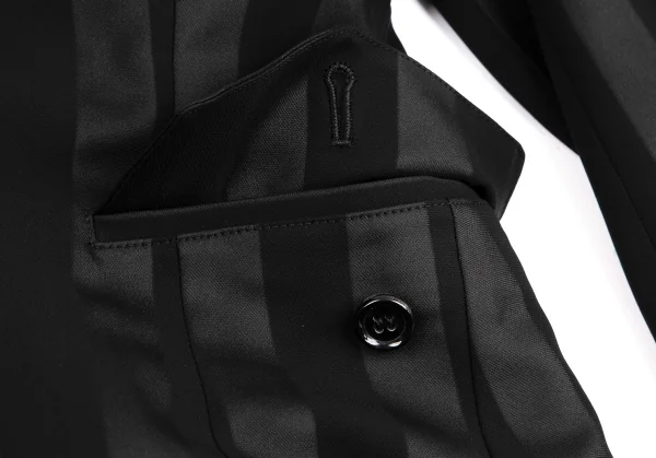 コムデギャルソンCOMME des GARCONS HaPPy RIBBON バックフリル装飾ストライプジャケット 黒S K-130203_011