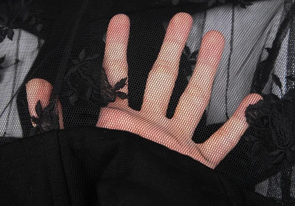 コムデギャルソンCOMME des GARCONS薔薇刺繍ネット切替デザインジャケット 黒M K-130927_017