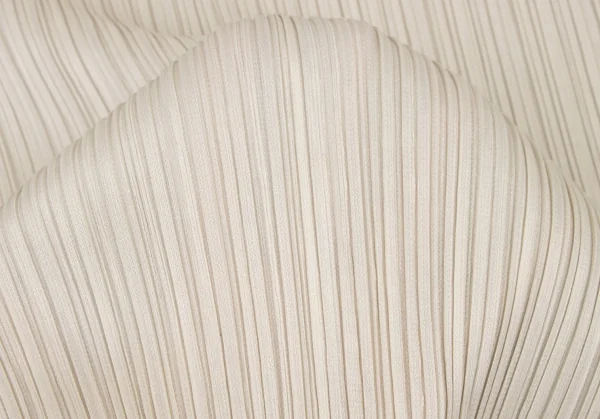 PLEATS PLEASE Circle Silhouette Top K-131934_010