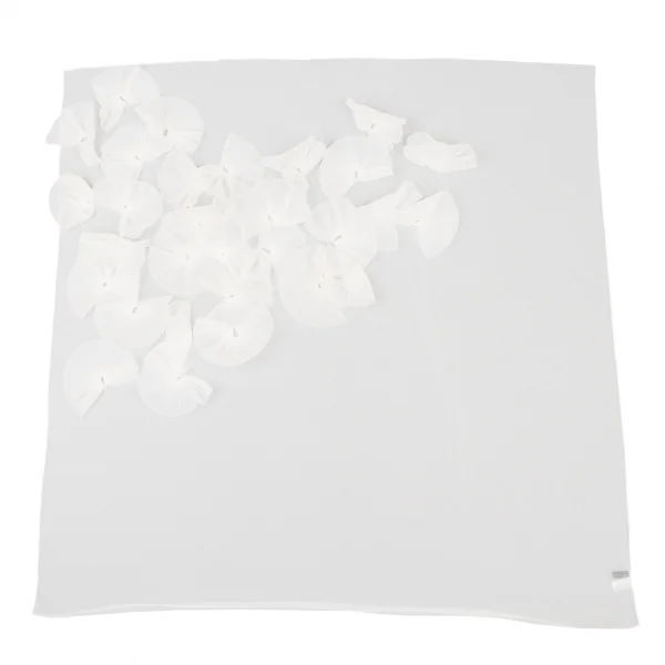 COMME des GARCONS Tulle See-through Decorative Scarf White  K-132855_001