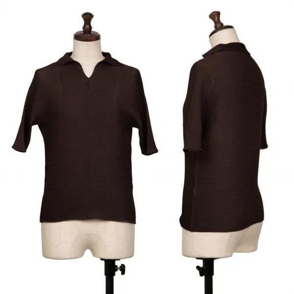 ISSEY MIYAKE PLEATS (T) Stretch Pleats Skipper T Shirt Brown 3 K-134000_001