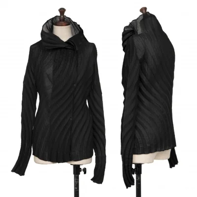 ISSEY MIYAKE Pleated Long Sleeve Blouse