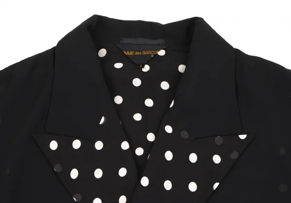 COMME des GARCONS Reversible Dot Printed Vest K-135260_005