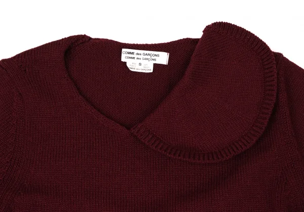 COMME des GARCONS COMME des GARCONS Wool Knit Sweater K-136149_004