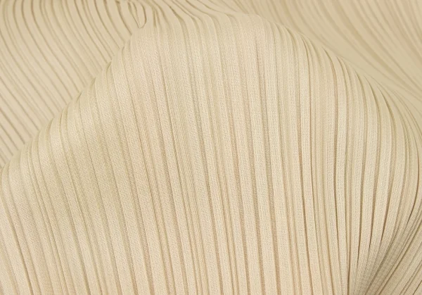 【超ポイント祭?期間限定】 プリーツプリーズPLEATS PLEASE プリーツハイネックカットソー トップス