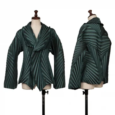 ISSEY MIYAKE 3D Steam Stretch Pleated Jacket