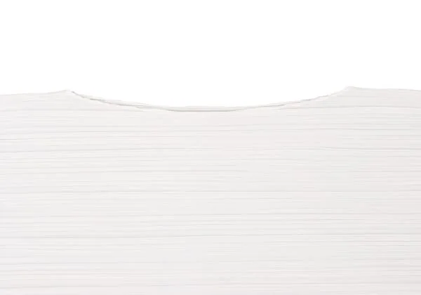 PLEATS PLEASE COAST Graphic Curve Embroidered Sleeveless Shirt K-140174_003