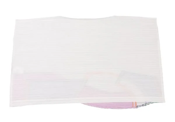 PLEATS PLEASE COAST Graphic Curve Embroidered Sleeveless Shirt K-140174_010