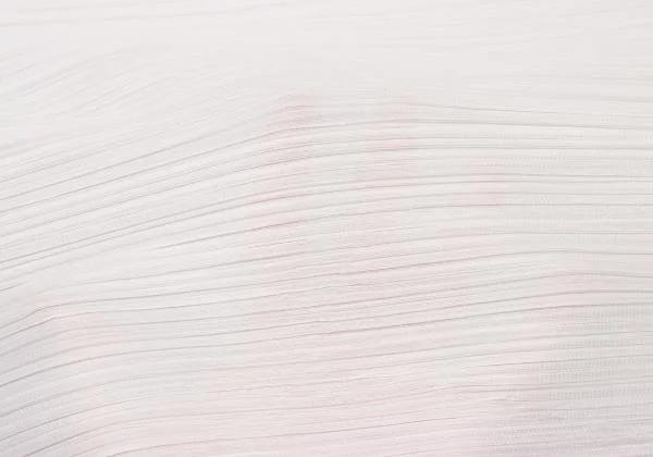 PLEATS PLEASE COAST Graphic Curve Embroidered Sleeveless Shirt K-140174_011