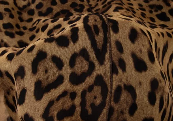 DOLCE&GABBANA Leopard Layered Blouse K-145362_016