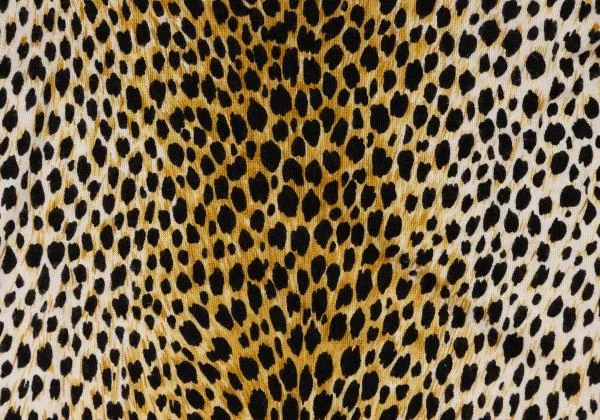 DOLCE&GABBANA Leopard Raglan Turtle Neck Top K-145366_012