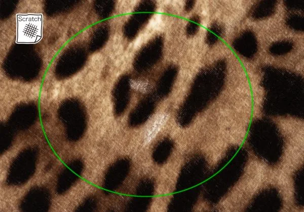 DOLCE& Metal Logo Leopard Stole K-145377_003