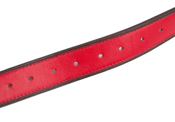 Vivienne Westwood Orb Design Leather Belt K-145513_004