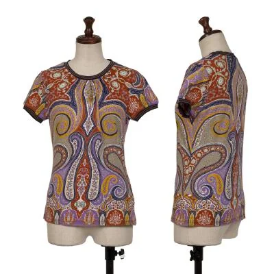 ETRO Paisley Pattern Ribbed T-Shirt
