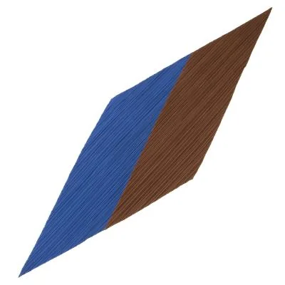 ISSEY MIYAKE Bicolor Pleated Stole