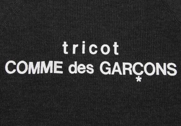 tricot COMME des GARCONS Logo Printed Turtleneck Knit Sweater K-147080_006