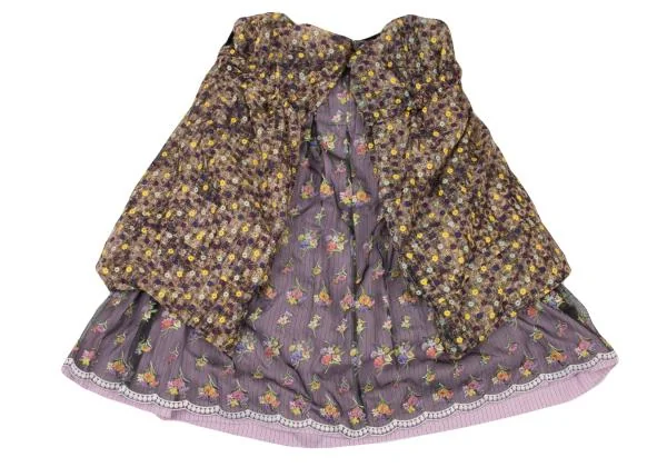 tricot COMME des GARCONS Embroidery See-through Layered Skirt K-148820_013