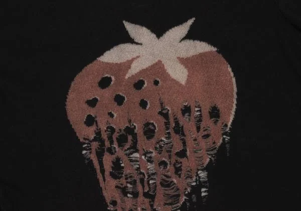 タオ コムデギャルソンtao COMME des GARCONS デストロイ