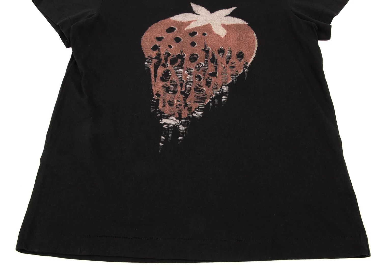 タオ コムデギャルソンtao COMME des GARCONS デストロイ