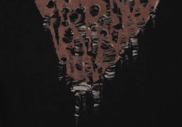 tao COMME des GARCONS Destroy Strawberry Print T shirt K-150477_007