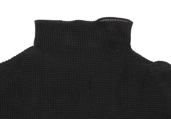 ISSEY MIYAKE PLEATS(T.) Stretch Pleats Turtle Neck T Shirt K-151104_003