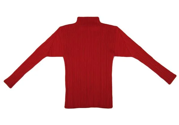 PLEATS PLEASE High Neck Long Sleeve Top K-151139_002