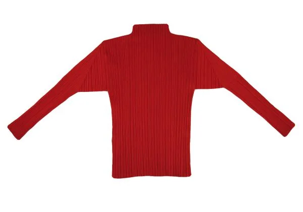 PLEATS PLEASE High Neck Long Sleeve Top K-151139_014