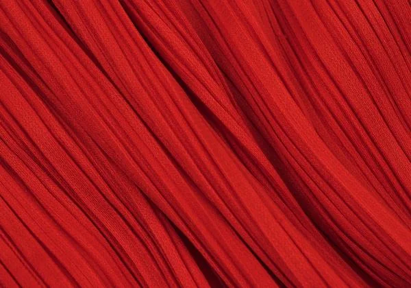 PLEATS PLEASE High Neck Long Sleeve Top K-151139_015