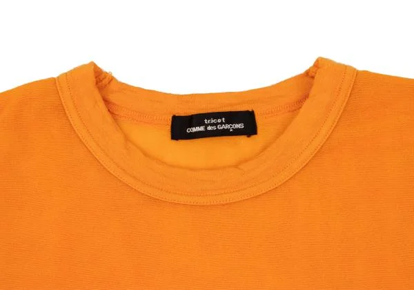 tricot COMME des GARCONS See-through Layered T Shirt K-152351_004