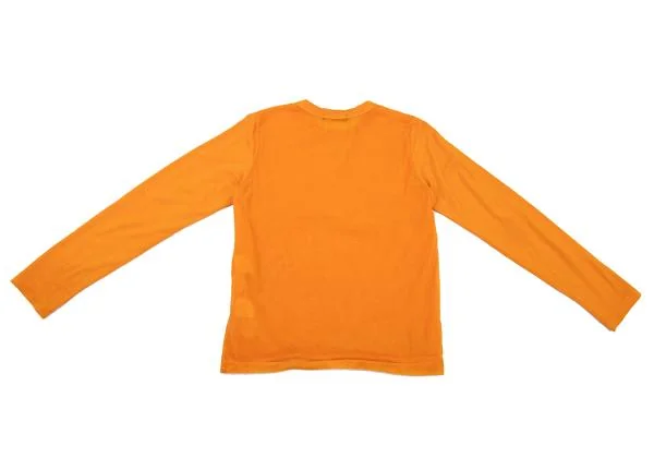 tricot COMME des GARCONS See-through Layered T Shirt K-152351_012