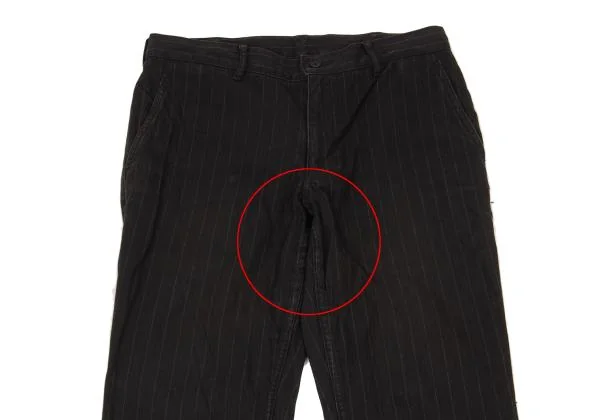 COMME des GARCONS HOMME PLUS Cotton Stripe Tapered Pants K-153090_002