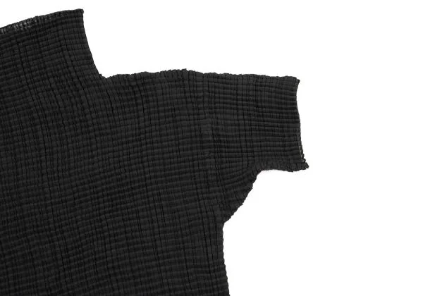 ISSEY MIYAKE Stretch Pleated Turtleneck T Shirt K-153753_005