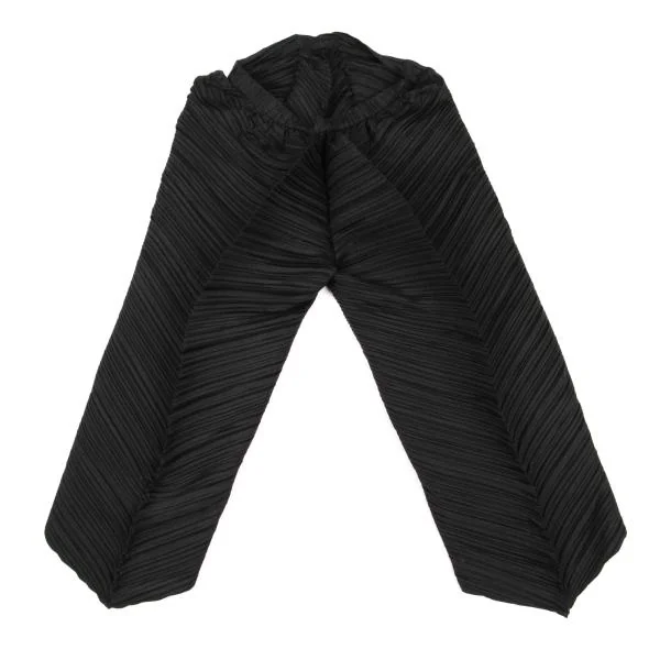 ISSEY MIYAKE Pleated 2D Design Pants K-154512_009