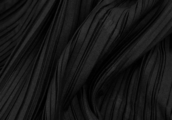 ISSEY MIYAKE Pleated 2D Design Pants K-154512_010