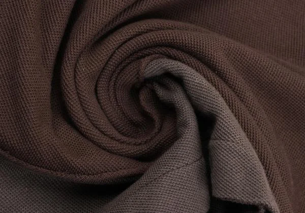 COMME des GARCONS HOMME PLUS Bicolor Switching  Polo Shirt K-155138_012