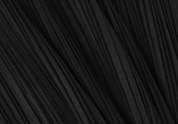 PLEATS PLEASE Pleated Turtleneck T Shirt K-155521_017
