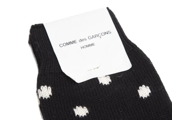 COMME des GARCONS HOMME Dot Woven Socks K-156977_002