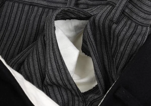 COMME des GARCONS Skirt Pasted Stripe Pants K-157478_010