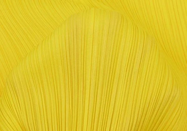 PLEATS PLEASE Hight-neck T-shirt K-159230_013