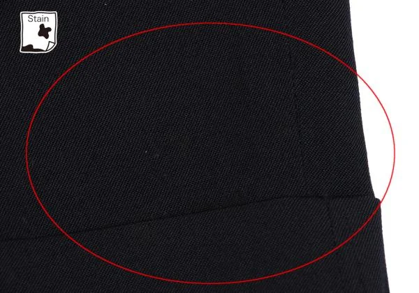 COMME des GARCONS HOMME Wool Gaba Color Buttonhole Tuck Pants K-159860_009